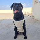 Summer T-shirt For Pets