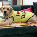 Summer T-shirt For Pets