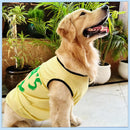 Summer T-shirt For Pets