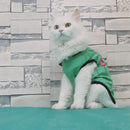 Summer T-shirt For Pets