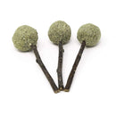 Natural Cat Catnip Treat Balls For Cat Dental Health