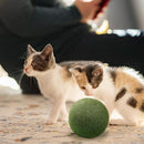 Natural Catnip Ball Toy for Cats