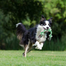 Cotton Dog Rope Toy for Tug of War