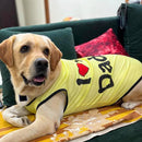 Summer T-shirt For Pets