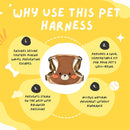 Adjustable Dog & Cat Harness - Comfy Walking & Training Vest Harness