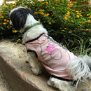 Summer T-shirt For Pets