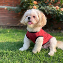Summer T-shirt For Pets