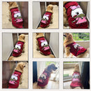 Summer T-shirt For Pets
