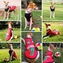 Summer T-shirt For Pets