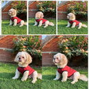 Summer T-shirt For Pets