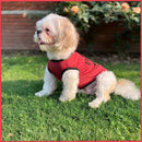 Summer T-shirt For Pets