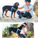 Breathable Dog Harness for Safety