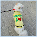 Summer T-shirt For Pets