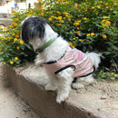 Summer T-shirt For Pets