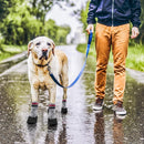Anti-Slip Dog Socks with Rubber Sole