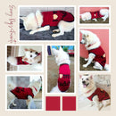 Summer T-shirt For Pets