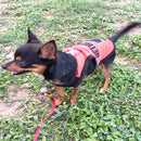 Summer T-shirt For Pets