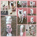Summer T-shirt For Pets
