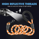 Premium Heavy-Duty Nylon Dog Leash with Padded Handle