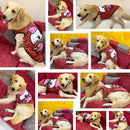 Summer T-shirt For Pets