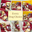 Summer T-shirt For Pets