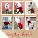 Summer T-shirt For Pets