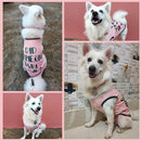 Summer T-shirt For Pets