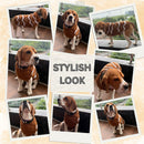 Winter Sweater For Dogs and Cats ( Light Brown )