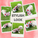 Winter Sweater For Dogs and Cats ( Cream )