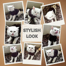 Winter Sweater For Dogs and Cats