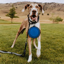 Collapsible Pet Bowl Portable Silicone Dog Bowl for Travel
