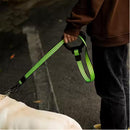 Dog Leash with Padded Handle & Reflective Elements for All Breeds