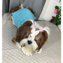 Winter Sweaters for small Dogs And Cats (Sky Blue)