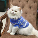 Winter Sweaters for Small Dogs & Cats Woolen Knit Sweater  (PURPLE)