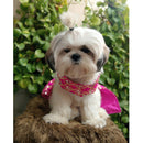 Ethnic Dress for Dogs