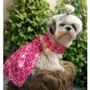 Ethnic Dress for Dogs