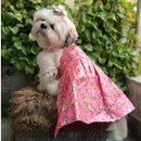 Ethnic Dress for Dogs