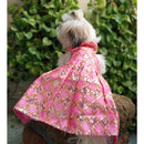Ethnic Dress for Dogs