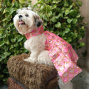 Ethnic Dress for Dogs