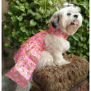 Ethnic Dress for Dogs