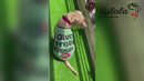 Summer T-shirt For Pets