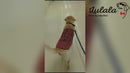 Summer T-shirt For Pets