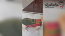 Printed T-Shirts For Pets
