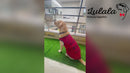 Summer T-shirt For Pets