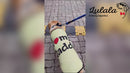 Summer T-shirt For Pets