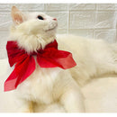 Adjustable Bow Tie Collar for Cats - Soft and Stylish Pet Neck Accessories for Kittens a