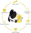 Dog Toothbrush Chew Toy for Aggressive Chewers