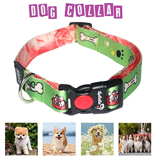Leash And Waist Belt Set For Dogs