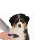 Universal Pins Slicker Brush for Big Dogs (Blue/Medium)