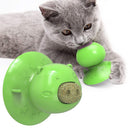 Piggy Shape Sucker Chew Toy for Dogs and Cats